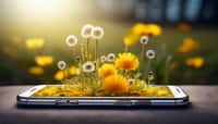 Allergies au pollen : ces objets connectés peuvent vous aider !